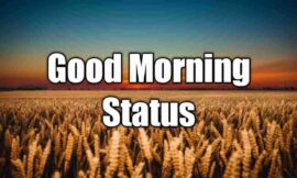 Best Good Morning 🌅 Status 2023